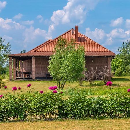Prie Traku Villa Petkeniskes Ngoại thất bức ảnh